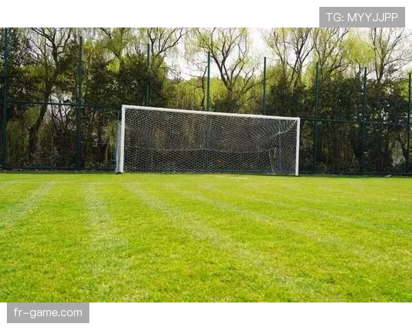 气候变化加剧冲击绿茵场:极端天气频发重塑足球赛事格局 气候变化加剧冲击绿茵场:极端天气频发重塑足球赛事格局